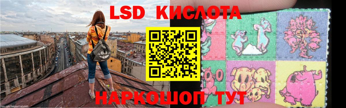 LSD-25 экстази кислота  Лсд 25 экстази  Новочеркасск  Вход с VPN 